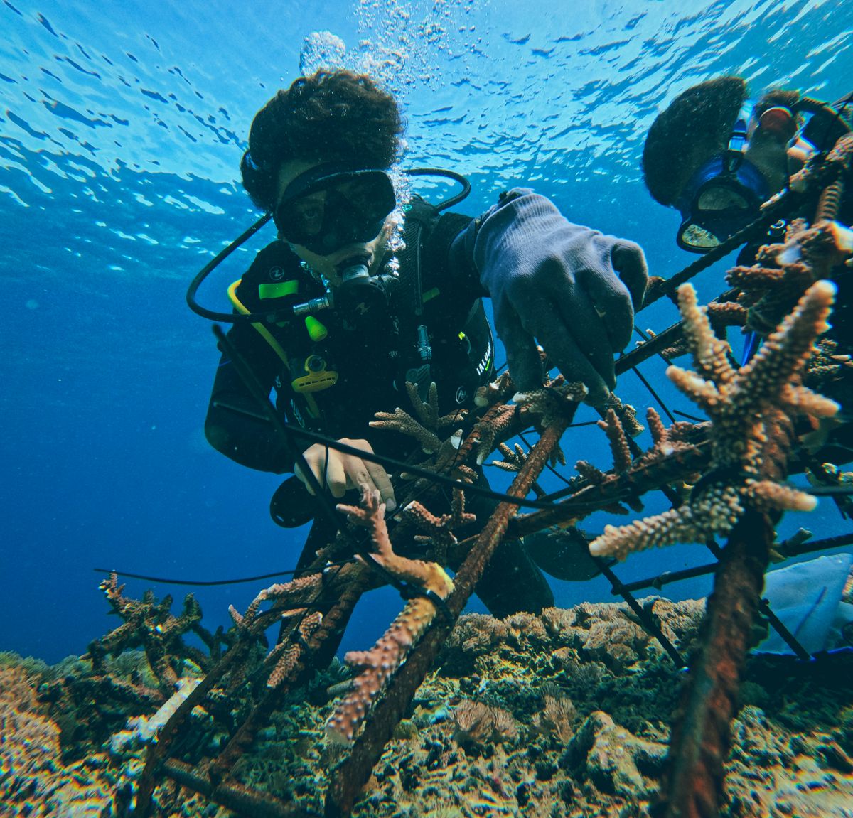 Marine Conservation Team